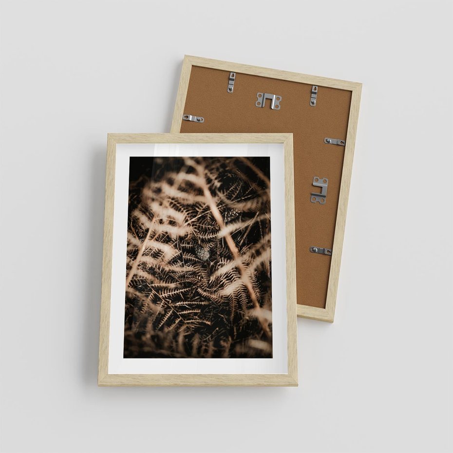 Plakat w ramie 30x40 - Liście i Paprocie - suche liście, paprocie - rama drewno