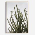 Obraz w ramie 70x100 - Ekskluzywna Roślinność - kaktusy, liście - rama drewno