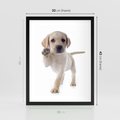 Plakat w ramie 30x40 - Szczeniak pełen radości - piesek, szczeniak - rama czarna