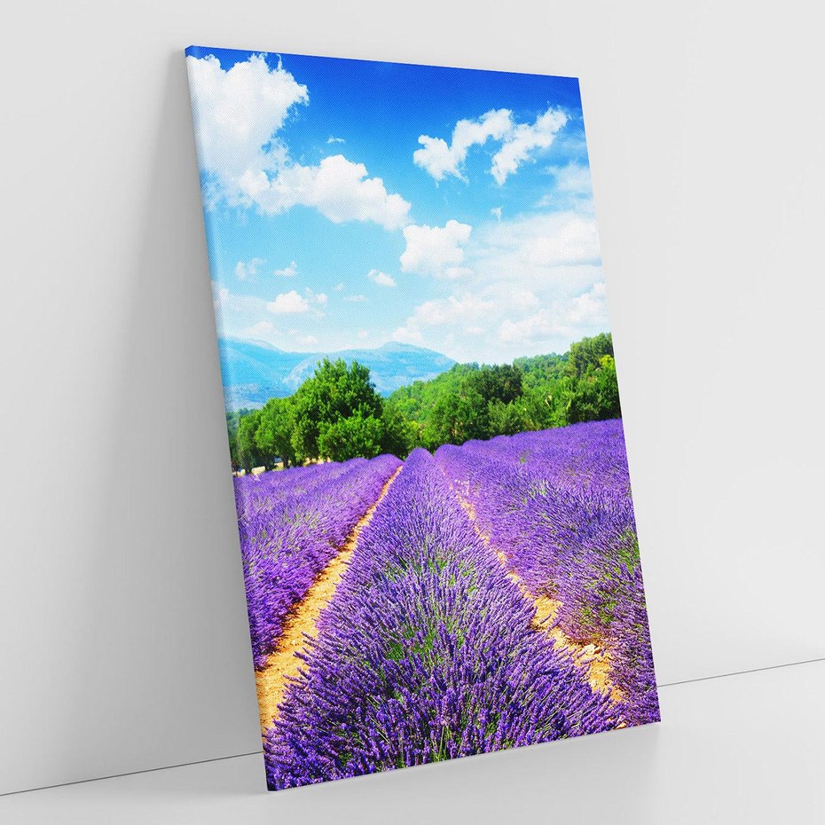 Obraz na płótnie 70x100 - Prowansalska Lawenda - lawenda, prowansja