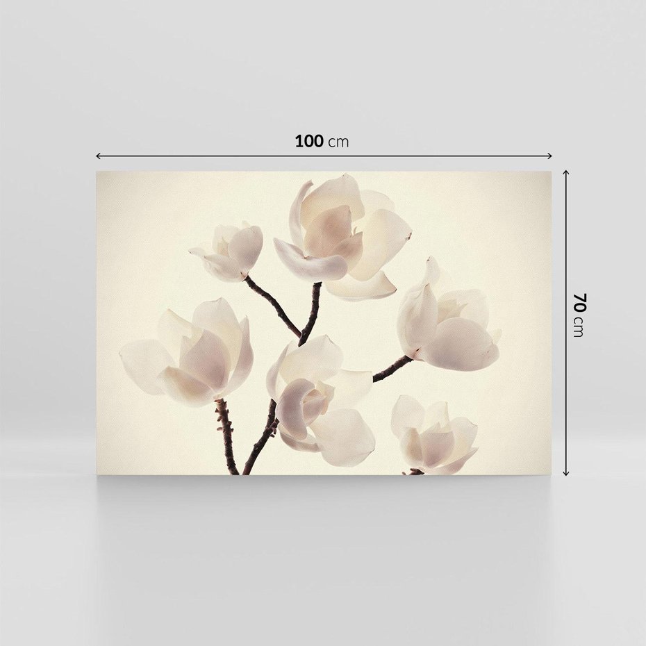 Obraz na płótnie 100x70 - Elegancja Natury - magnolia, białe