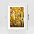 Plakat w ramie 30x40 - Jesienny Las - Kolorowa Paleta Natury - jesień, drzewa - rama biała