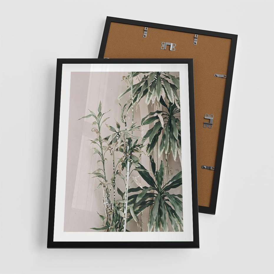 Plakat w ramie 50x70 - Egzotyczna Kompozycja - liście, rośliny tropikalne na tle ściany - rama czarna