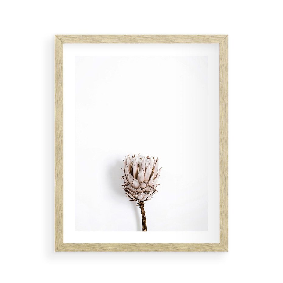Plakat w ramie 40x50 - Suszona Roślina na Białym Tle - minimalizm, suszona roślina - rama drewno