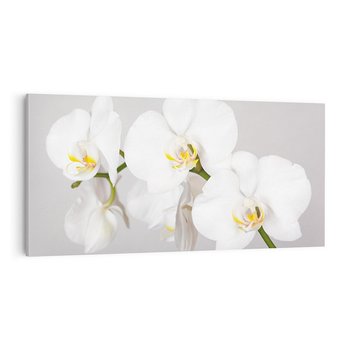 Obraz na płótnie 120x60 - kwiatowy urok - orchidea, kwiat