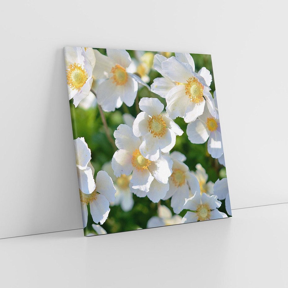 Obraz na płótnie 60x60 - Kwiatowy Raj - kwiat, kwiaty