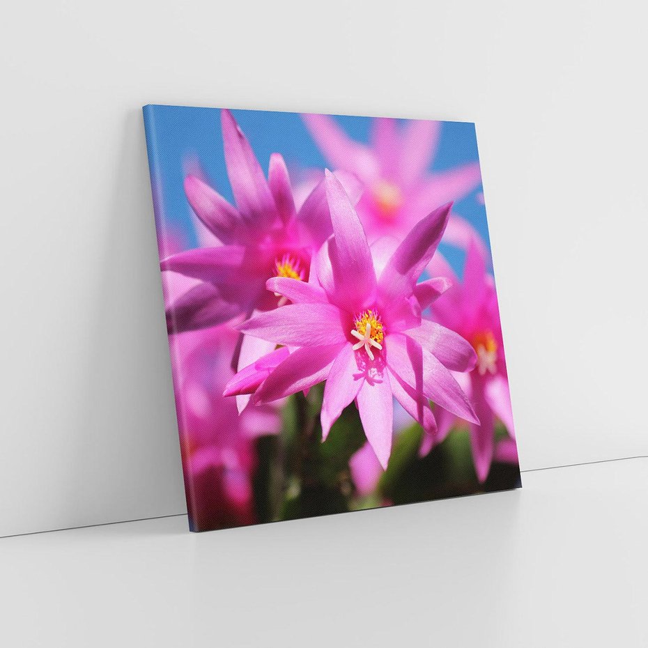 Obraz na płótnie 60x60 - Kwiatowy urok - kwiat, kwiaty