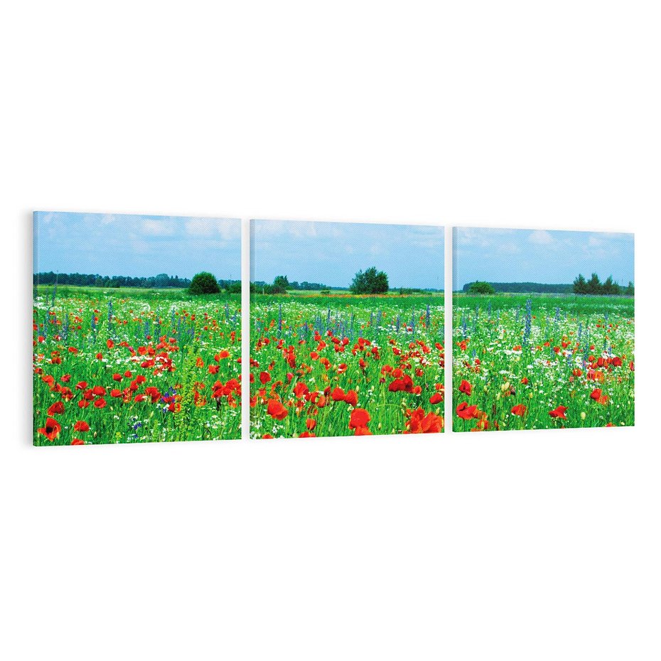 Obraz na płótnie 120x40 - Kolorowa łąka pełna maku - łąka, maki