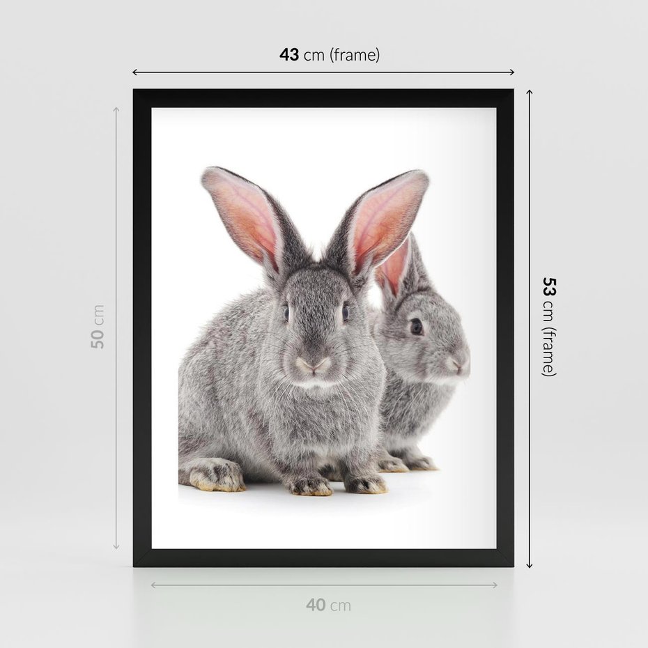 Plakat w ramie 40x50 - Uroczy królik wśród natury - królik, zając - rama czarna
