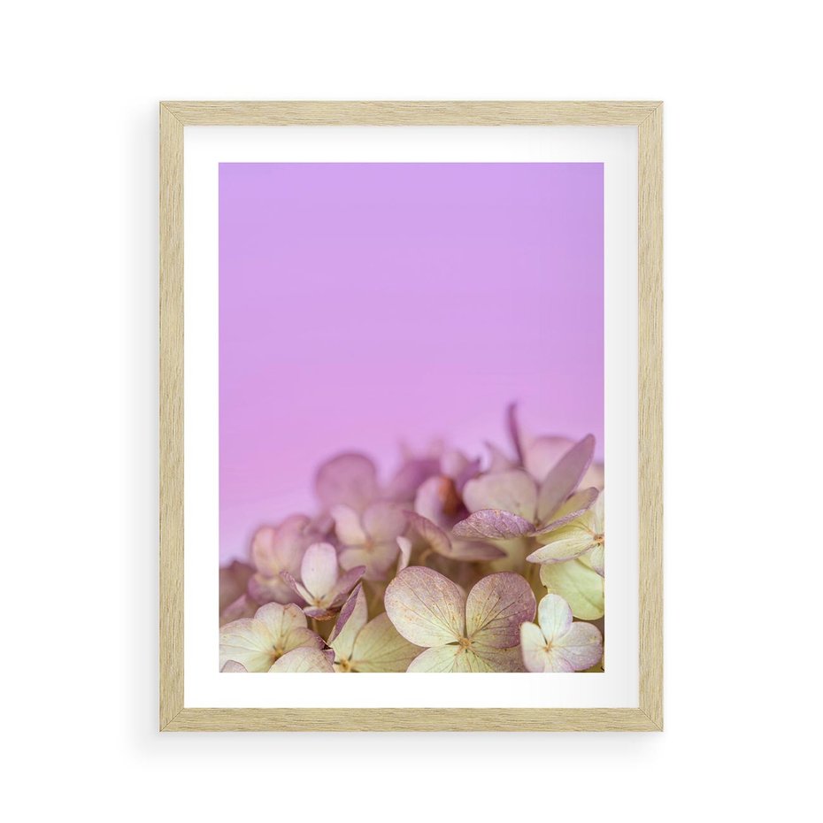Plakat w ramie 40x50 - Kwiatowa Uroda - kwiaty, hortensje - rama drewno