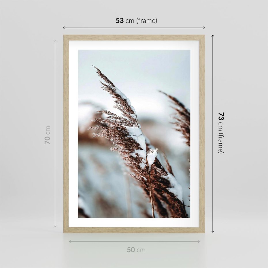 Plakat w ramie 50x70 - Zima na Suchych Trawach - suche trawy, śnieg wysokich na trawach - rama drewno