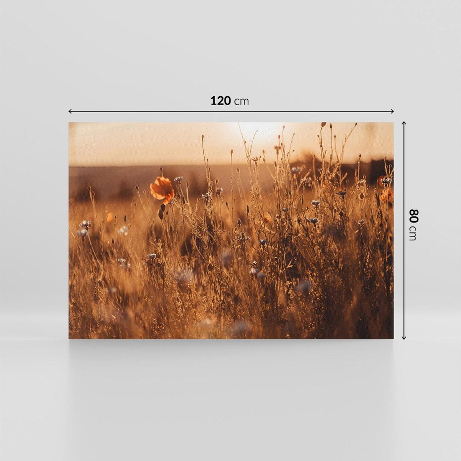 Obraz na płótnie 120x80 - Zachwyt zachodem słońca na łące - zachód, słońca