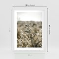 Plakat w ramie 30x40 - Pampas i Bocho - suche trawy, bocho - rama biała