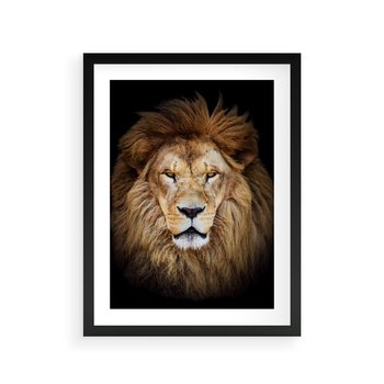 Plakat w ramie 30x40 - Król zwierząt w majestatycznym stylu - lew, król - rama czarna