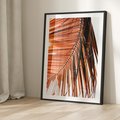 Plakat bez ramy 30x40 - Słońce na Palmie - palma, promienie słońca