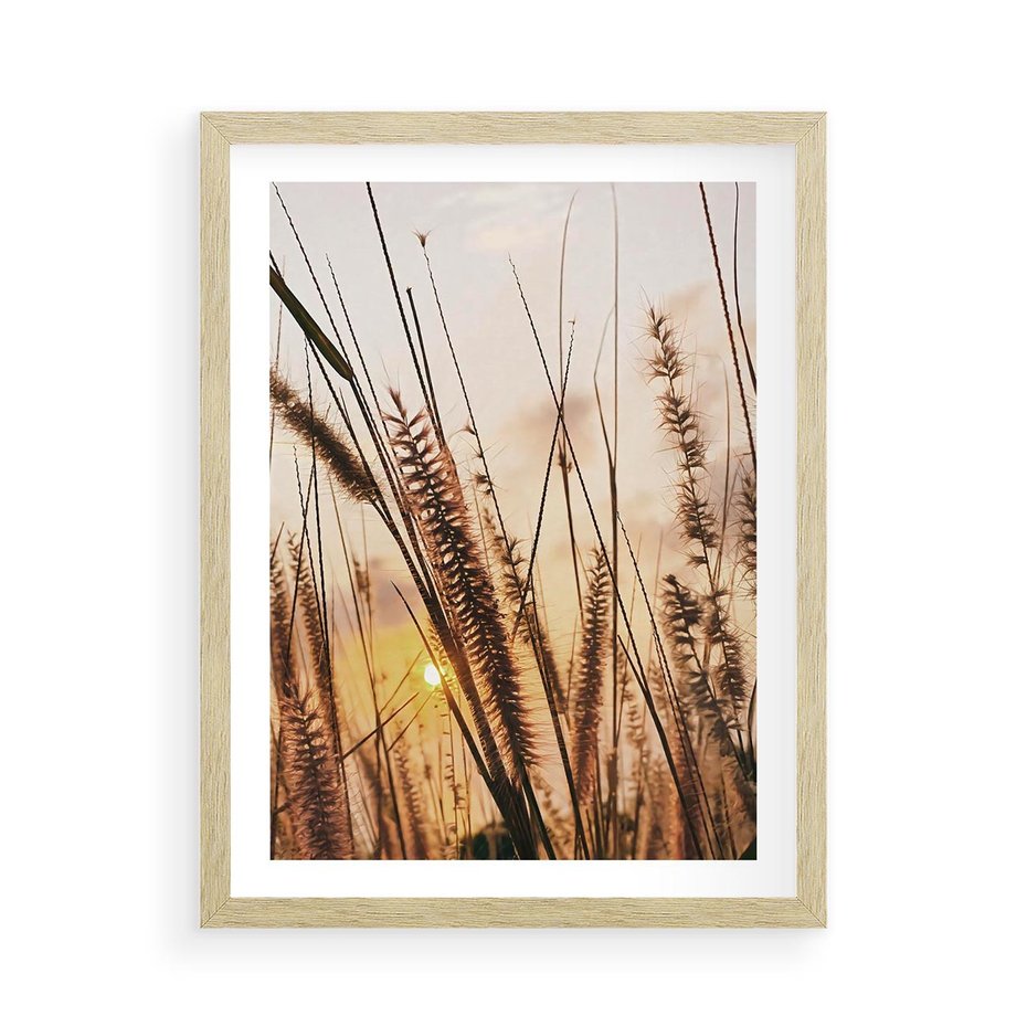 Plakat w ramie 50x70 - Malownicza Łąka z Trawam - trawy, łąka - rama drewno