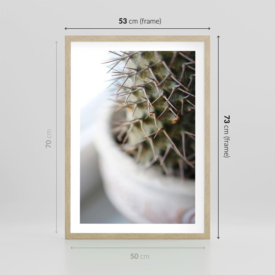 Plakat w ramie 50x70 - Kaktus w Zbliżeniu - kaktus, igły - rama drewno