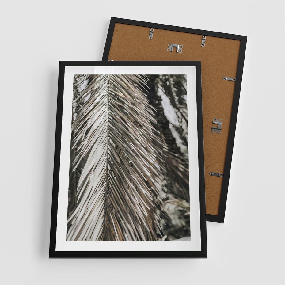Plakat w ramie 50x70 - Egzotyczne Gałęzie - suche gałęzie, liście palmy - rama czarna
