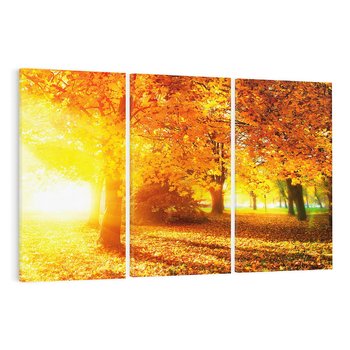 Obraz na płótnie 120x80 - Magia jesiennego lasu - las, drzewa