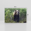 Obraz na płótnie 120x80 - Spotkanie z Niedźwiedziem w Lesie - niedźwiedź, las