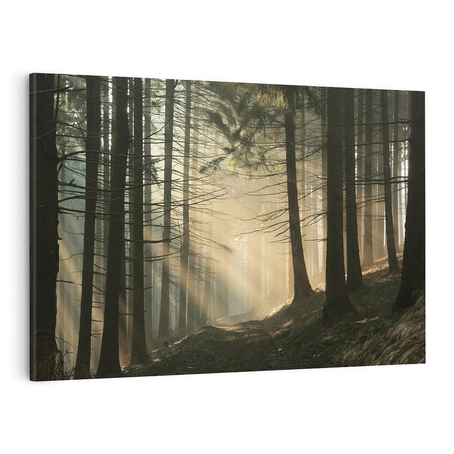 Obraz na płótnie 100x70 - Urok lasu: drzewa w pełnej okazałości - las, drzewa