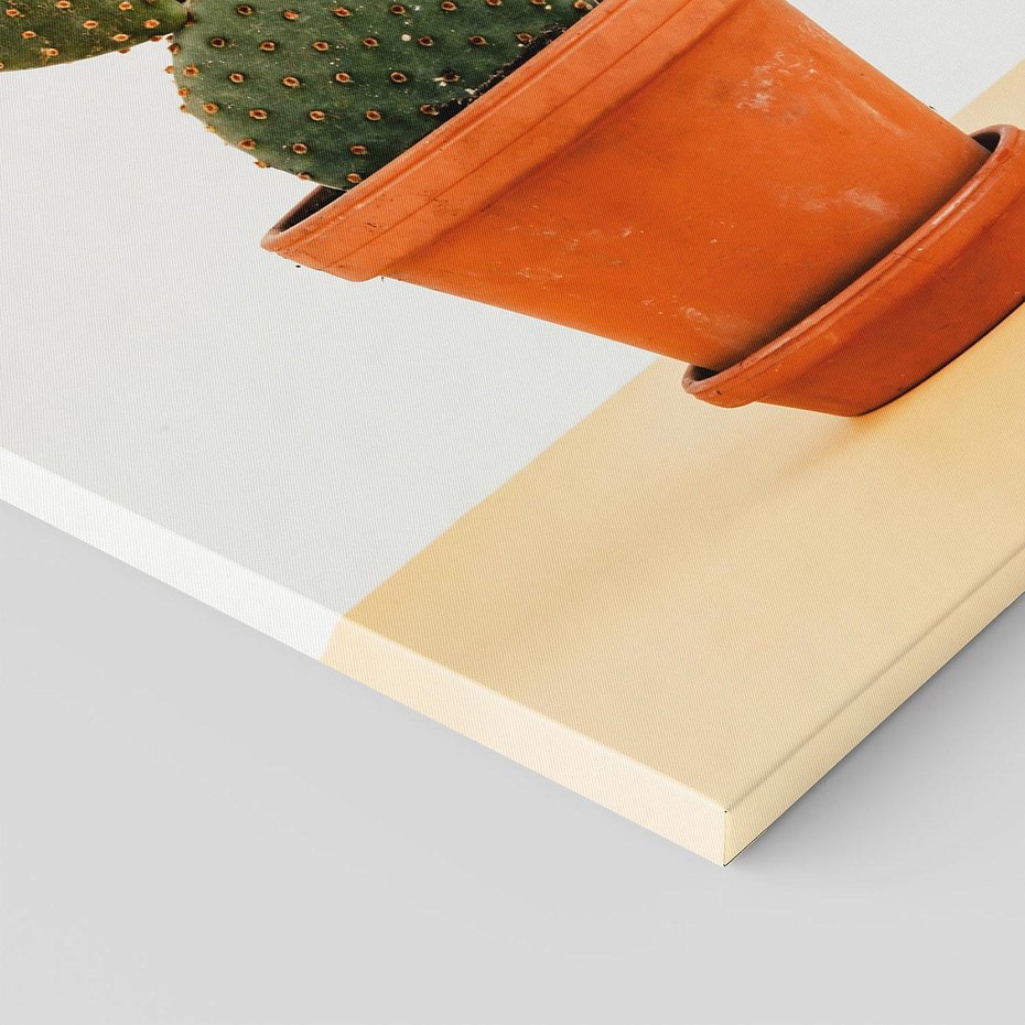 Obraz na płótnie 70x100 - Kwiatowy taniec kaktusa - kaktus, kwiat