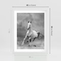 Plakat w ramie 40x50 - Elegancja w Czarno-Białym - koń, biało - rama biała