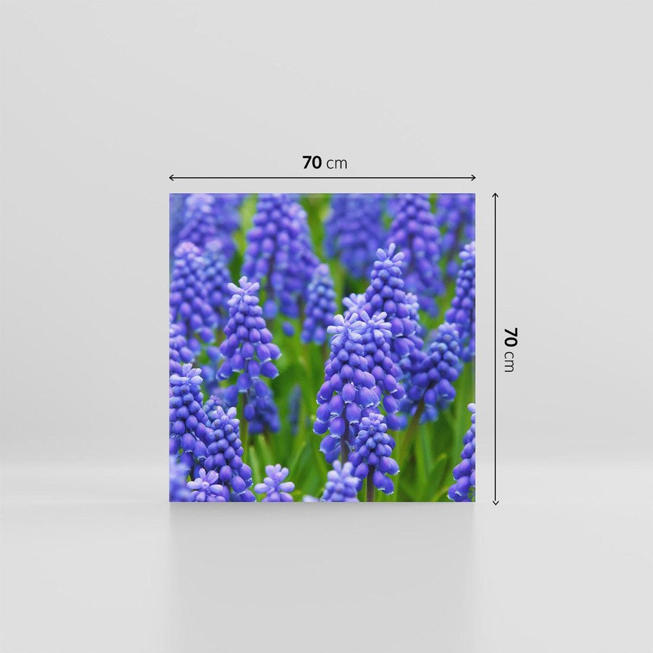 Obraz na płótnie 70x70 - Urok Lawendy - lawenda, kwiat