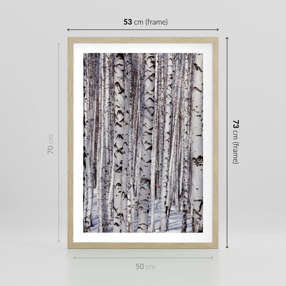 Plakat w ramie 50x70 - Lśniące Brzozy - brzozy, las - rama drewno