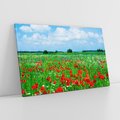 Obraz na płótnie 120x80 - Kolorowa łąka pełna maku - łąka, maki