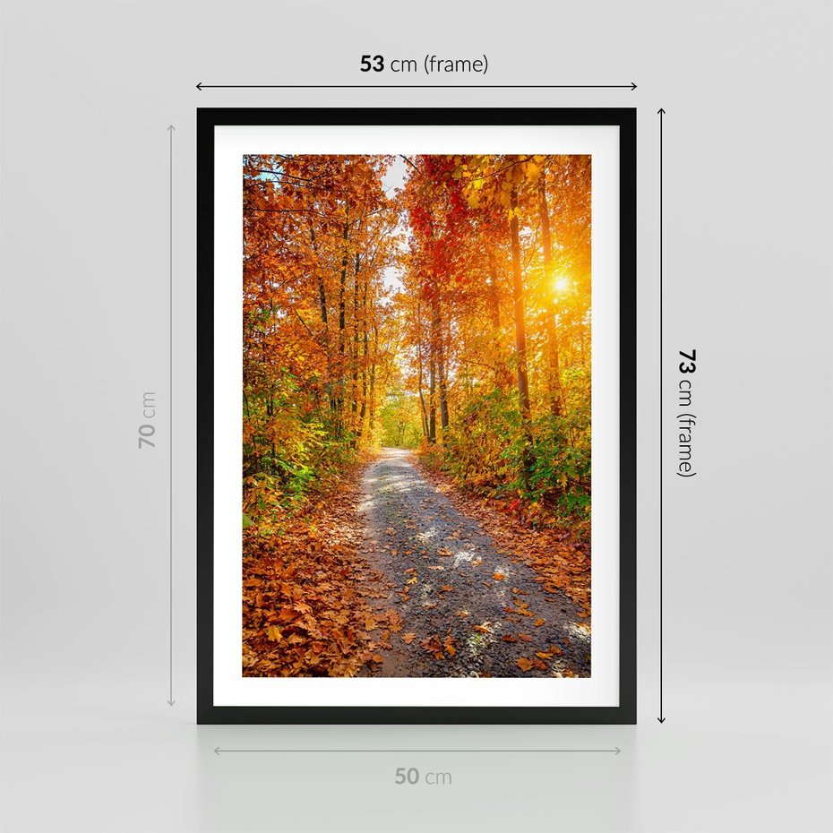 Plakat w ramie 50x70 - Kolorowe drzewa na ścieżce jesieni - las, jesień - rama czarna