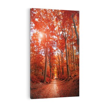 Obraz na płótnie 50x70 - Magia jesiennego lasu - las, jesień