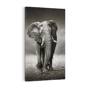 Obraz na płótnie 80x120 - Majestatyczny słoń Afryki - słoń, Afryka