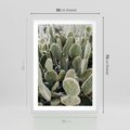 Plakat w ramie 50x70 - Kaktusowa Harmonia - kaktusy, fotografia - rama biała