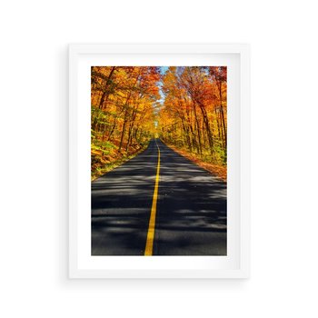 Plakat w ramie 30x40 - Droga przez jesienny las - droga, las - rama biała