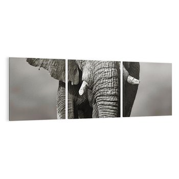 Obraz na płótnie 120x40 - Majestatyczny słoń Afryki - słoń, Afryka