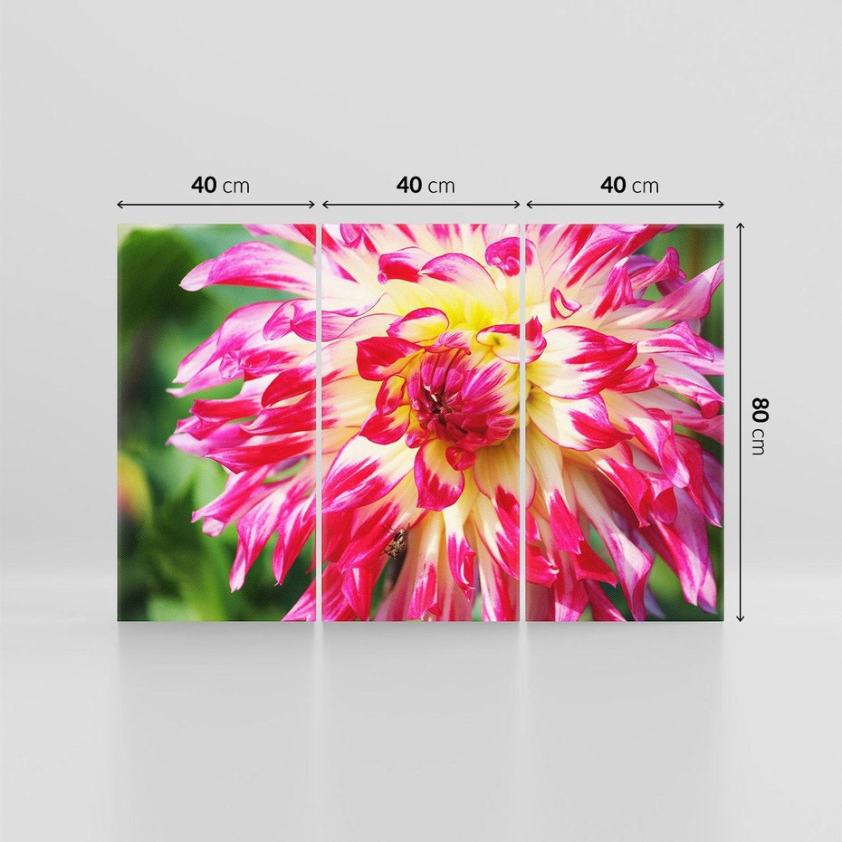 Obraz na płótnie 120x80 - Kwiatowa harmonia - kwiat, kwiaty