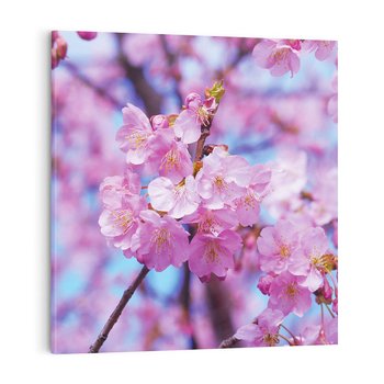 Obraz na płótnie 70x70 - magia kolorów - kwiat, kwiaty