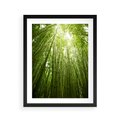 Plakat w ramie 40x50 - Siła Natury - drzewa, las - rama czarna