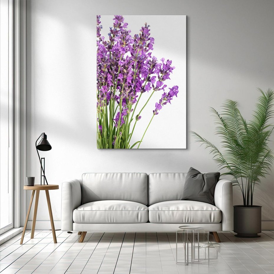 Obraz na płótnie 50x70 - Pola lawendy w pełnym rozkwicie - lawenda, kwiaty