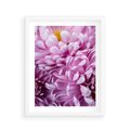Plakat w ramie 40x50 - Fioletowy zawrót głowy - kwiat, różowy kwiat - rama biała