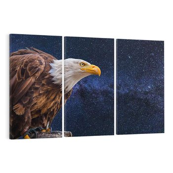 Obraz na płótnie 120x80 - Orzeł w niebieskiej przestrzeni - orzeł, ptak