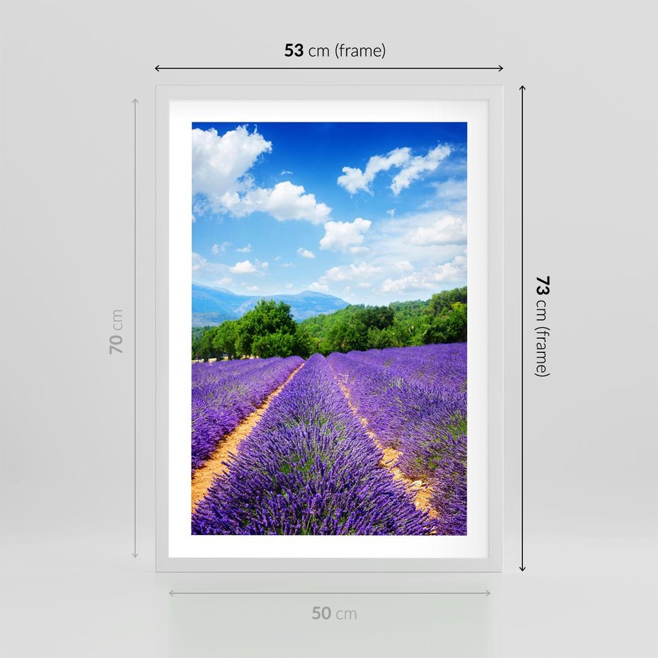 Plakat w ramie 50x70 - Prowansalska Lawenda - lawenda, prowansja - rama biała