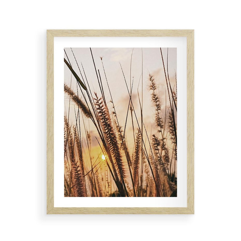 Plakat w ramie 40x50 - Malownicza Łąka z Trawam - trawy, łąka - rama drewno