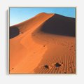 Obraz w ramie 50x50 - Piasek pustyni wędruje - pustynia, piasek - rama drewno