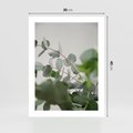 Plakat bez ramy 30x40 - Liście eukaliptusa w naturze - eukaliptus, liście