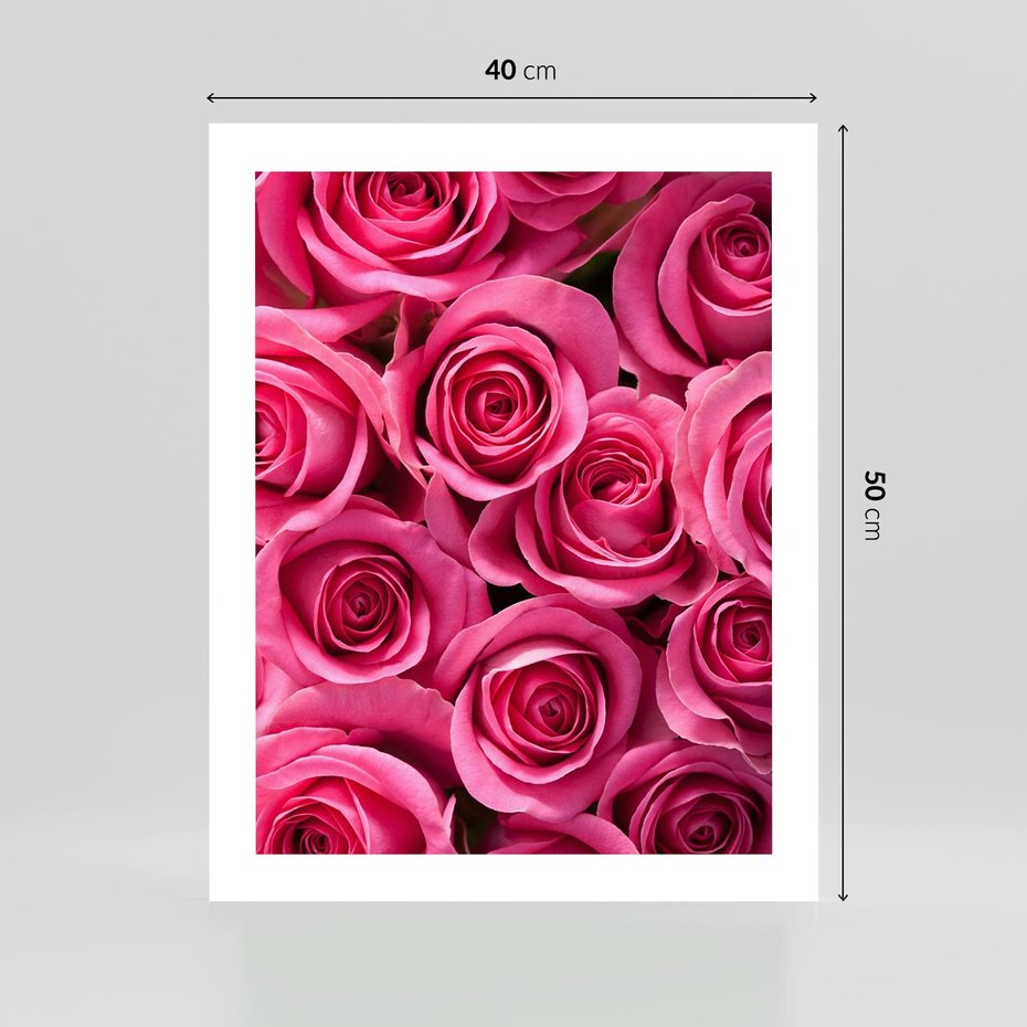Plakat bez ramy 40x50 - Romantyczne róże w pełnym rozkwicie - róże, kwiaty