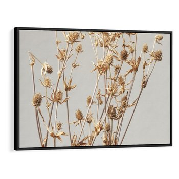 Obraz w ramie 70x50 - Delikatne gipsówki - gipsówka, suche - rama czarna