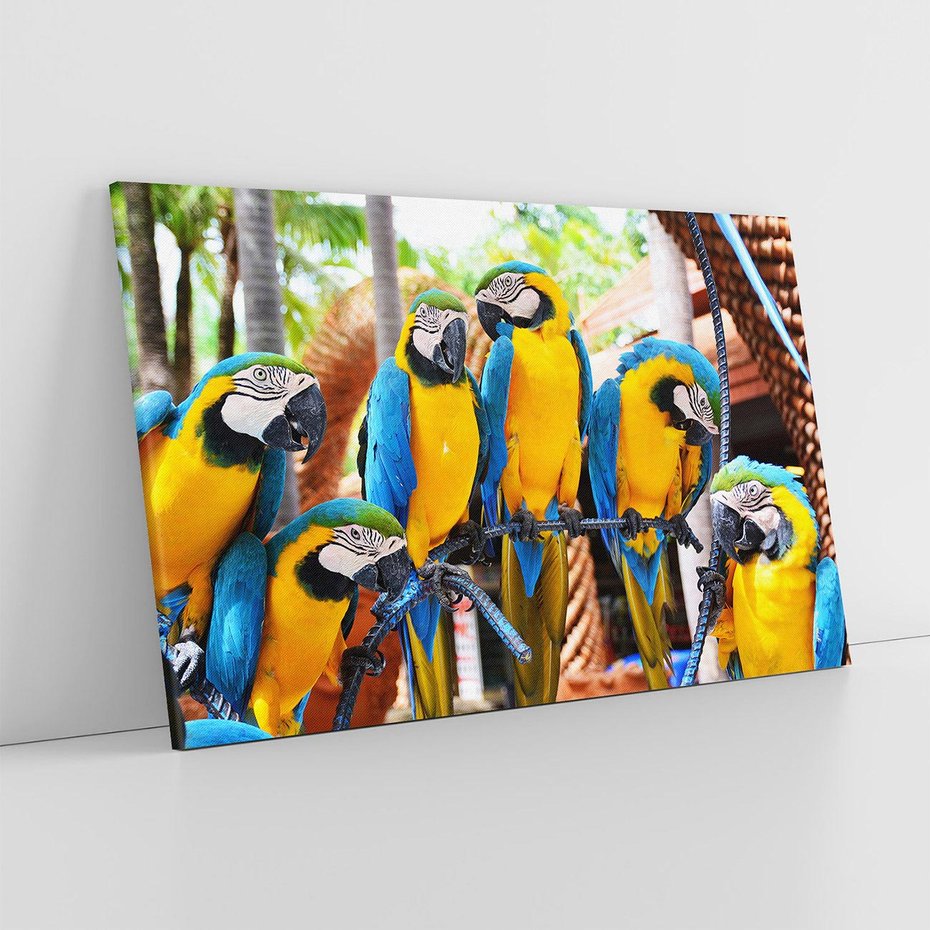 Obraz na płótnie 120x80 - Kolorowa parada papug - papuga, papugi