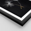 Plakat w ramie 50x70 - Delikatność Wiatru - dmuchawce, makro - rama czarna